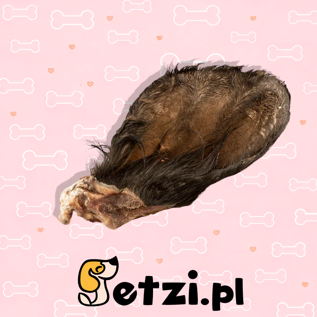 MEATSTUFF GRYZAK DLA PSA UCHO WOŁOWE Z FUTREM 1SZT