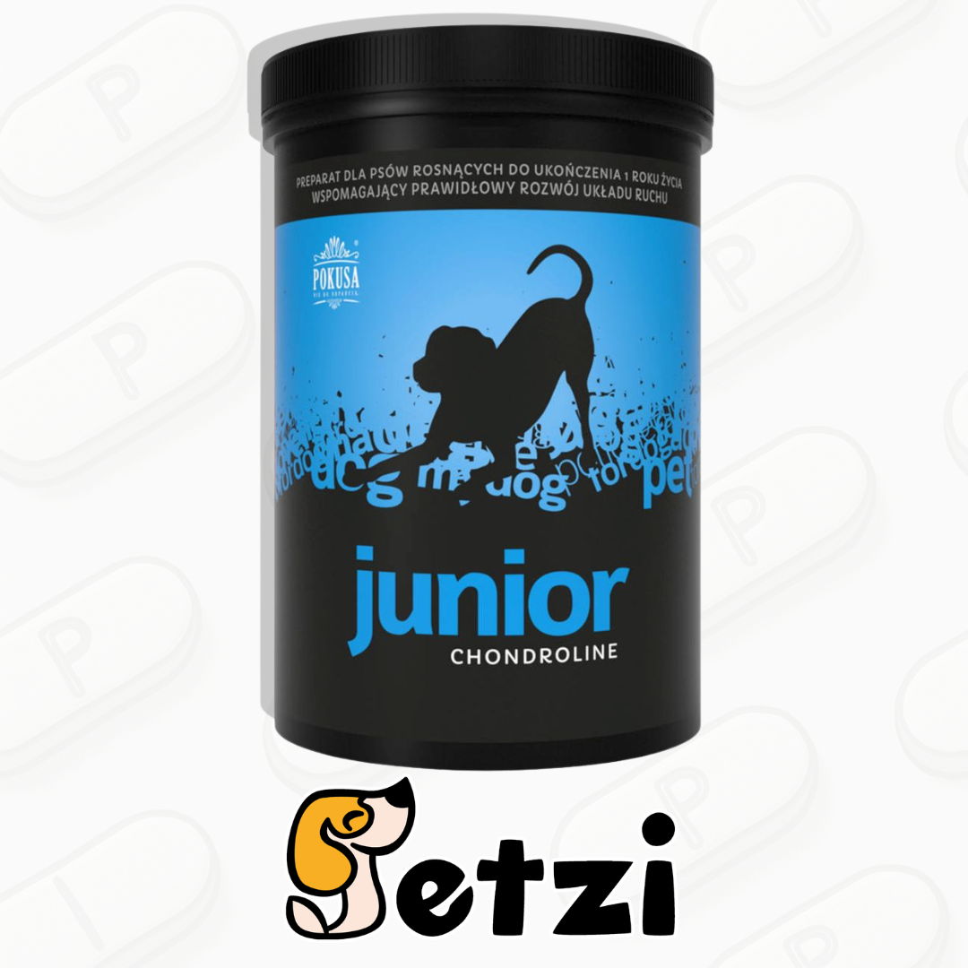 POKUSA CHONDROLINE JUNIOR 350G - PREPARAT WSPOMAGAJĄCY ROZWÓJ UKŁADU KOSTNO-STAWOWEGO