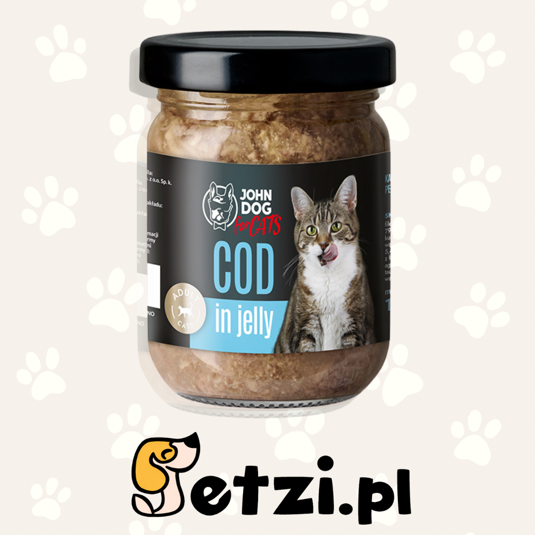 JOHN DOG MOKRA KARMA KOT GALARETKA DORSZ 100G