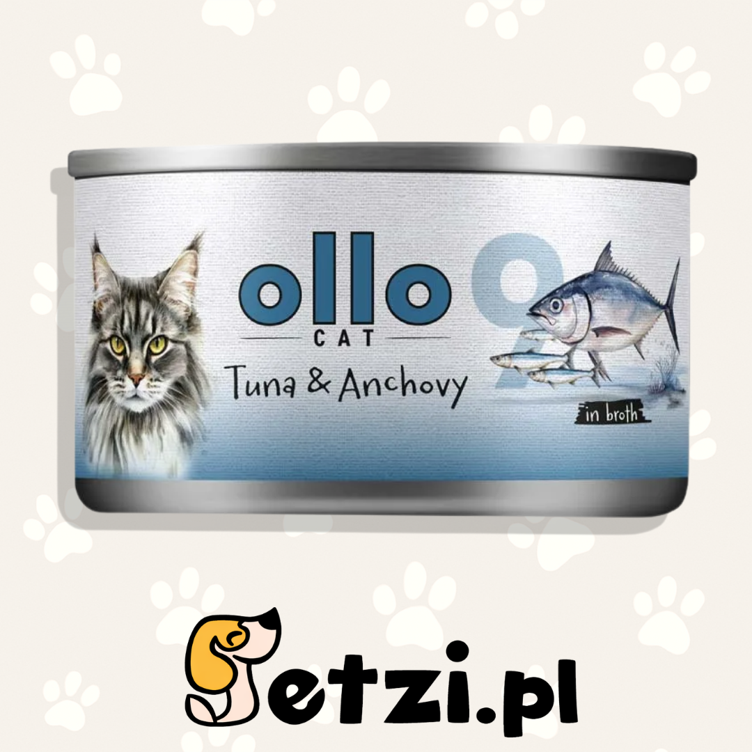 OLLO MOKRA KARMA KOT NR9 TUŃCZYK ANCHOVIS 70G