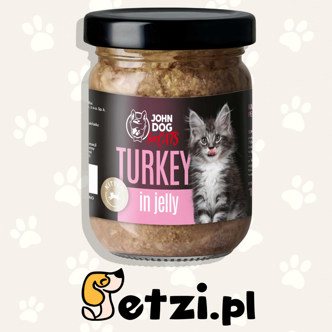 JOHN DOG MOKRA KARMA KOT KITTEN GALARETKA INDYK 100G