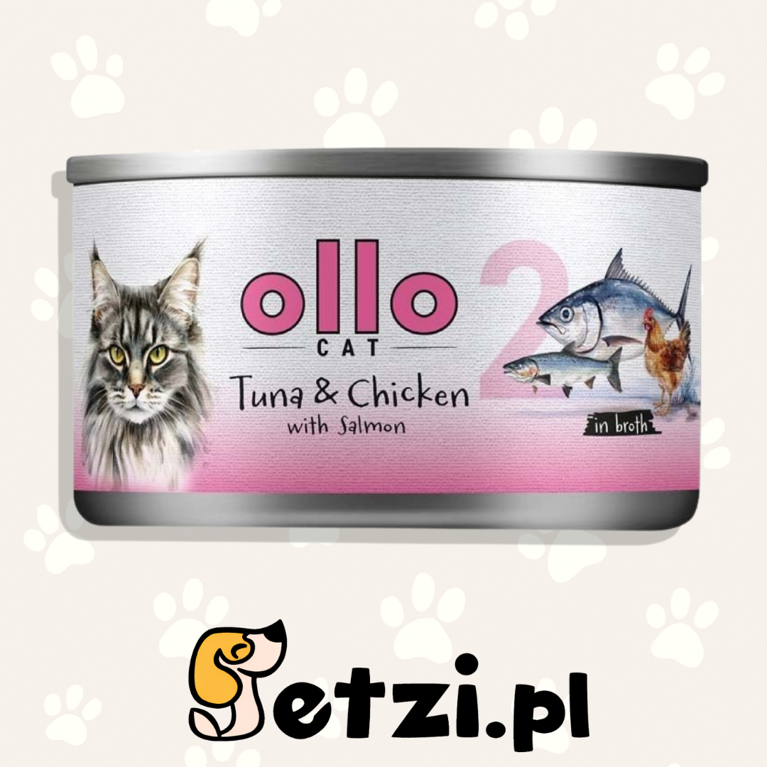 OLLO MOKRA KARMA KOT NR2 TUŃCZYK KURCZAK ŁOSOŚ 70G
