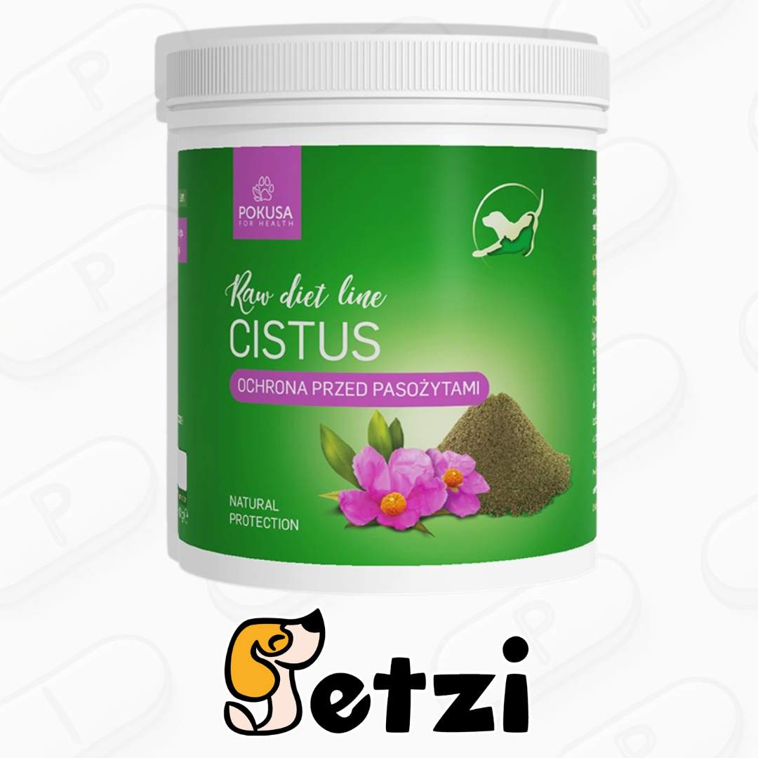 POKUSA RAW DIET LINE CISTUS 100G- ODPORNOŚĆ, ANTYOKSYDACJA I OCHRONA PRZED PASOŻYTAMI