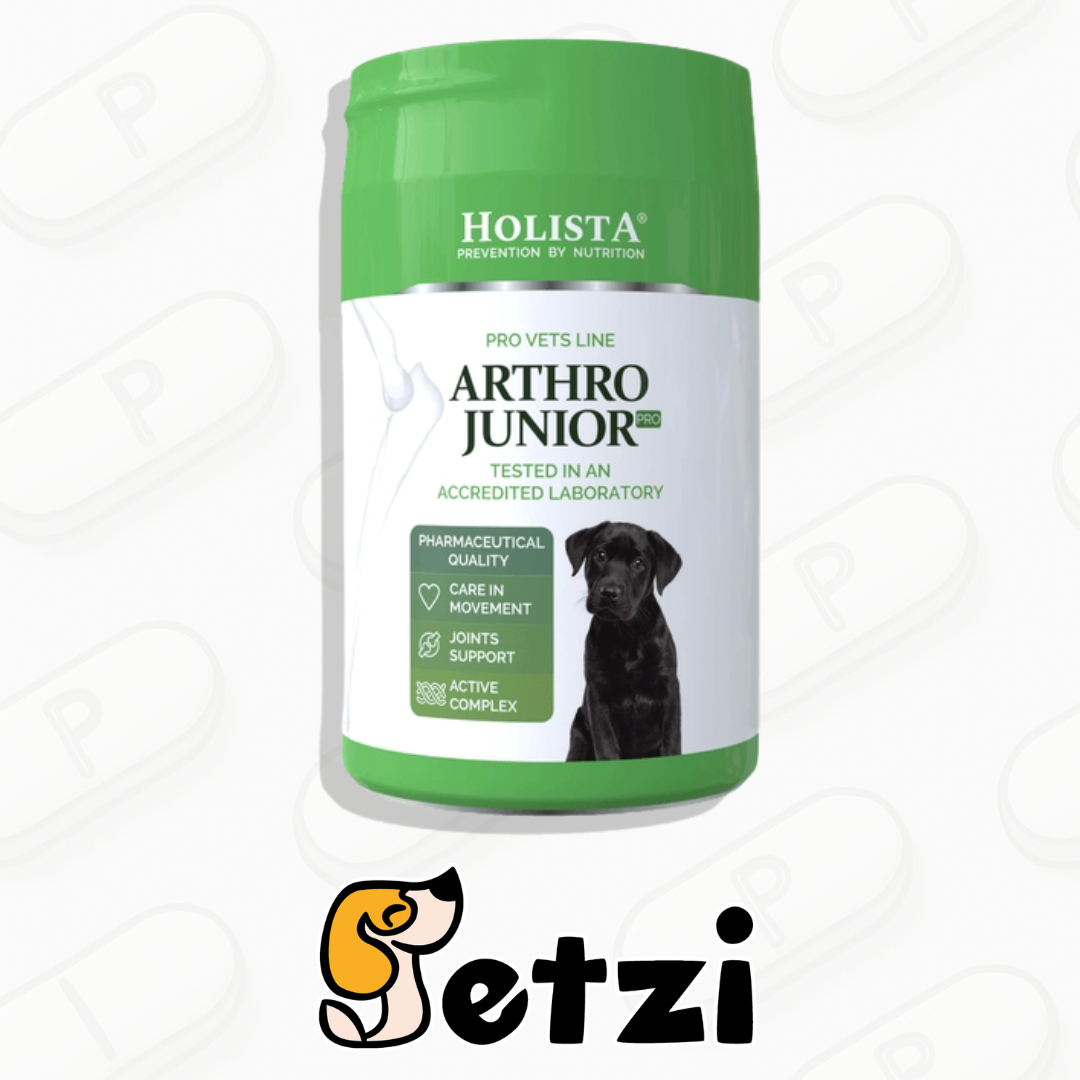 HOLISTA ARTHRO JUNIOR PRO 200G