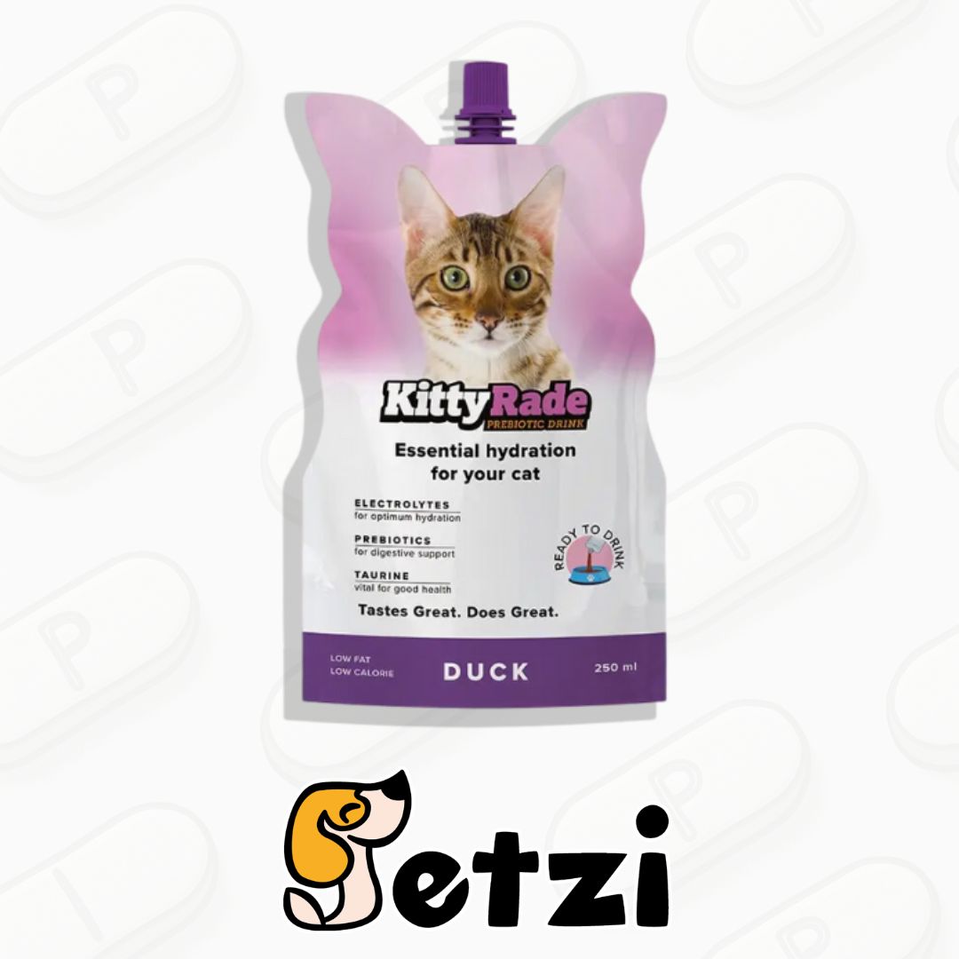 KITTYRADE NAPÓJ IZOTONICZNY DLA KOTA KACZKA 250ML