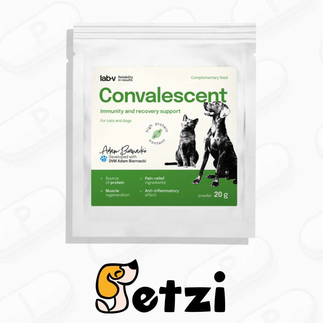 LAB V CONVALESCENT 20G
