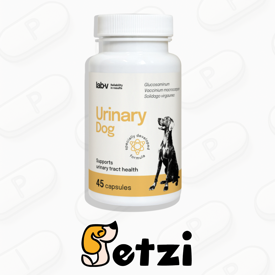 LAB V URINARY DOG 45 KAPSUŁEK