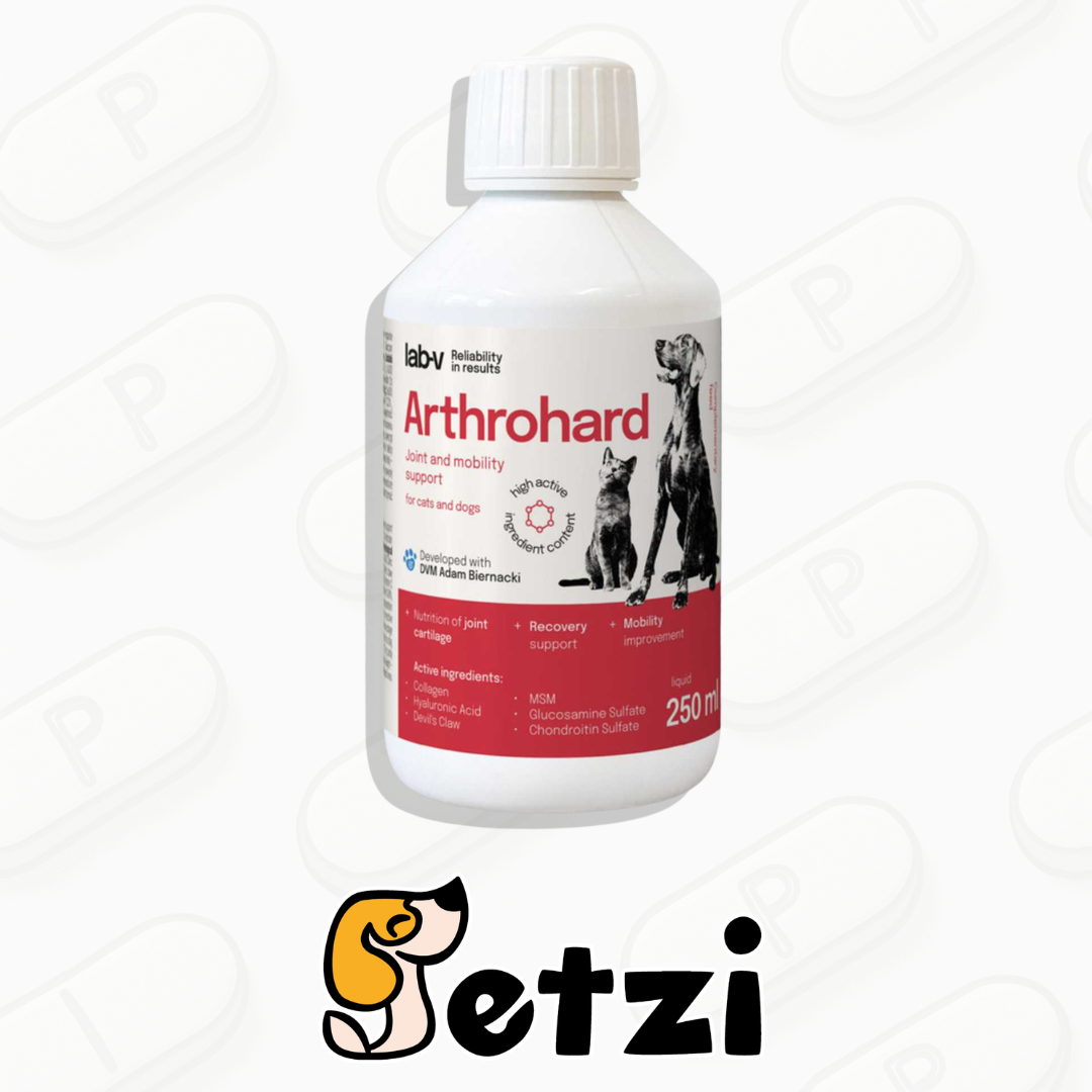 LAB V ARTHROHARD 250ML
