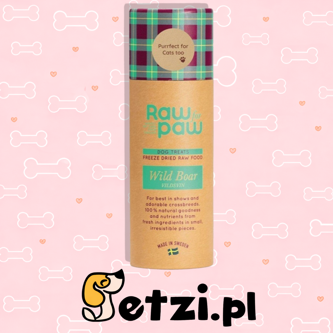 RAW FOR PAW WILD BOAR - DZIK LIOFILIZOWANE PRZYSMAKI (45G)