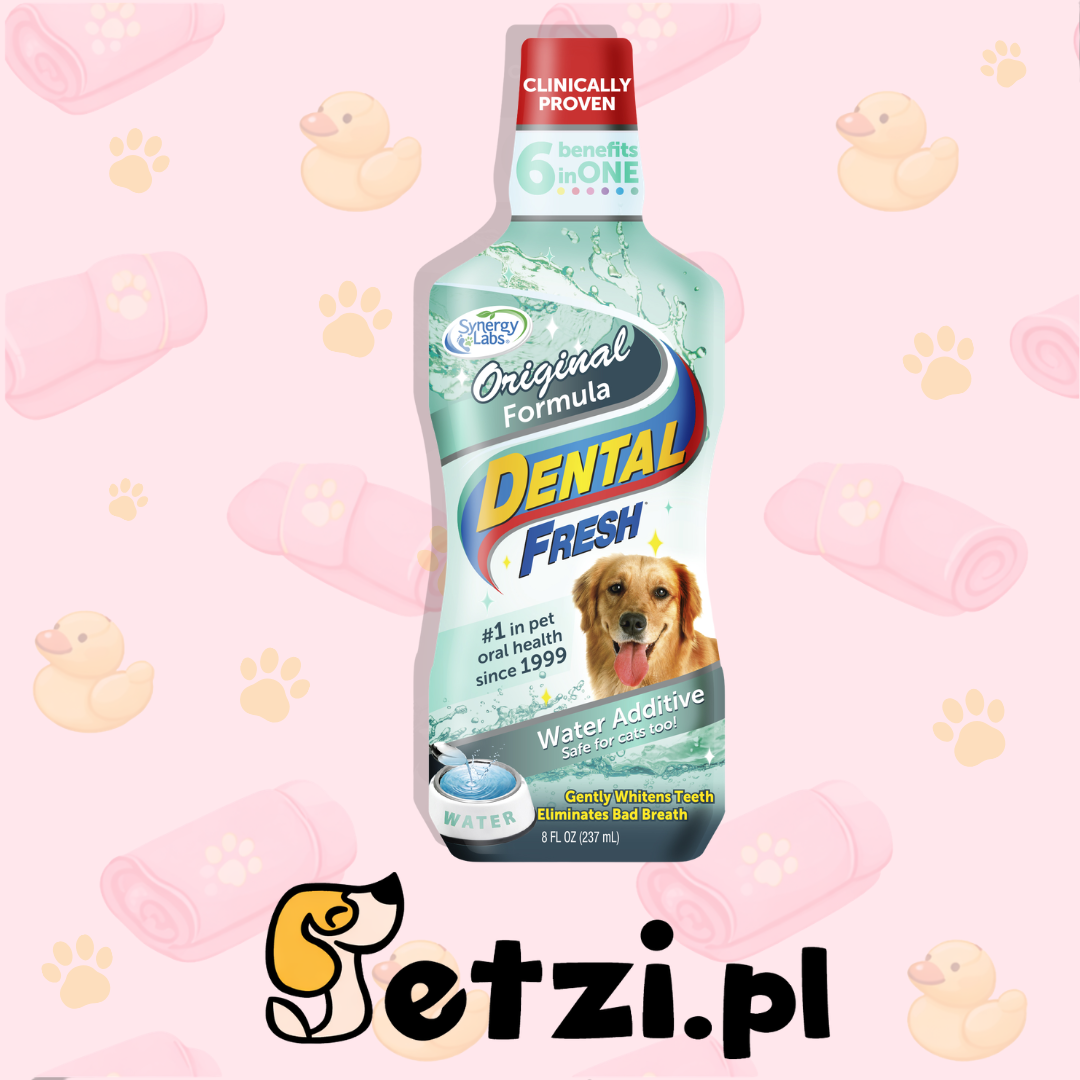 SYNERGY LABS DENTAL FRESH STANDARD 237ML