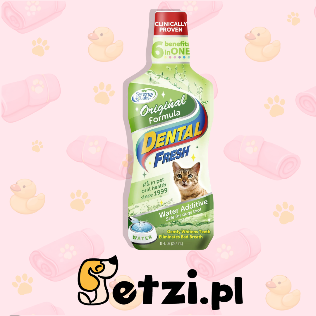 SYNERGY LABS DENTAL FRESH CAT 237ML