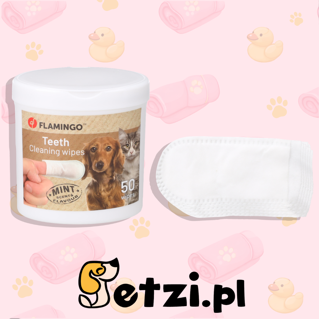FLAMINGO CLEANING WIPES FOR TEETH REINI FINGER MINT 50PCS