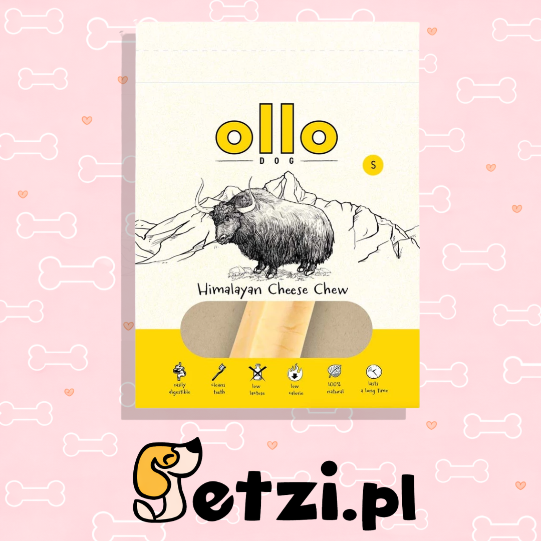 OLLO GRYZAK DLA PSA SER HIMALAJSKI S