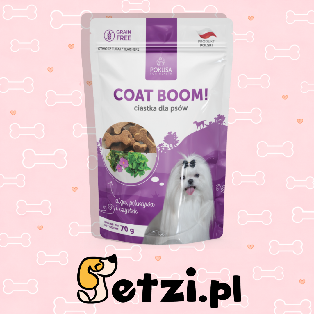 POKUSA PREMIUM SELECTION CIASTKA PIES COAT BOOM! 70G