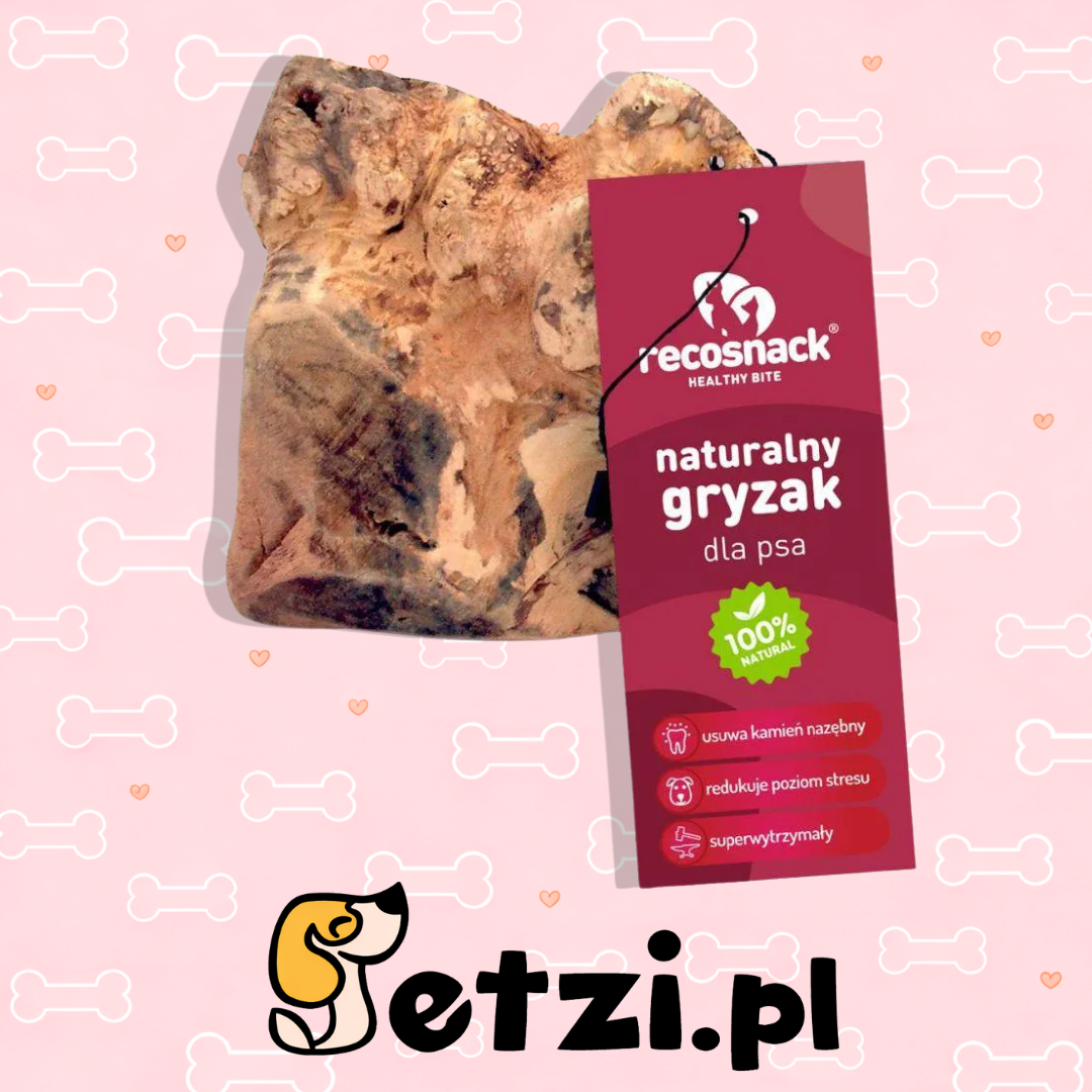 RECOSNACK KORZEŃ HISZPAŃSKIEGO DRZEWA WRZOSOWEGO L