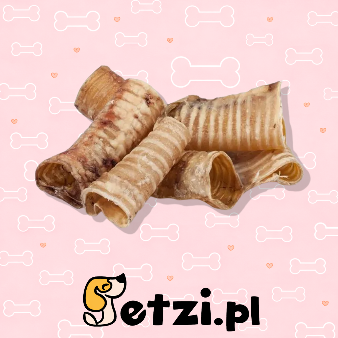 BALTO GRYZAK DLA PSA TCHAWICA WOŁOWA 500G