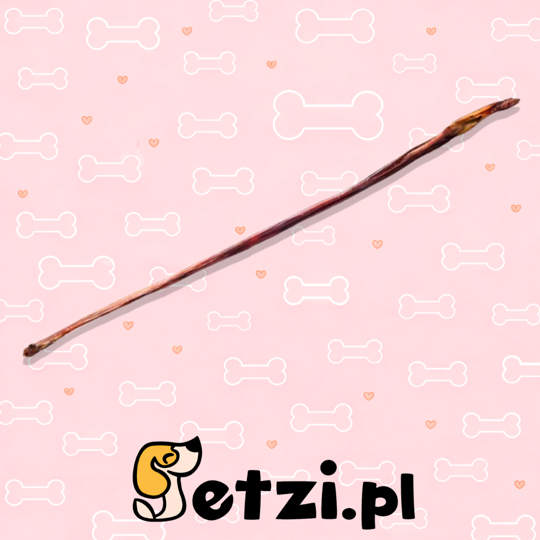 PETMEX PENIS WOŁOWY 50 CM 1SZT