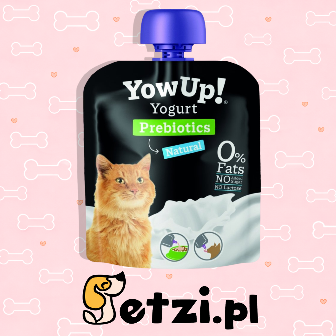 YOWUP YOGURT NATURAL CAT 85G