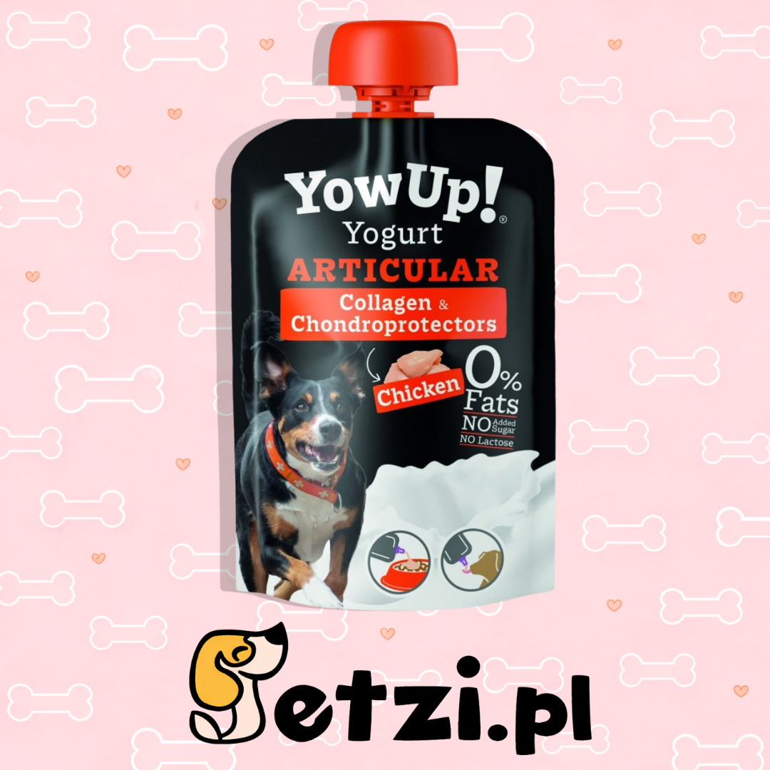 YOWUP YOGURT ARTICULAR DOG 115G