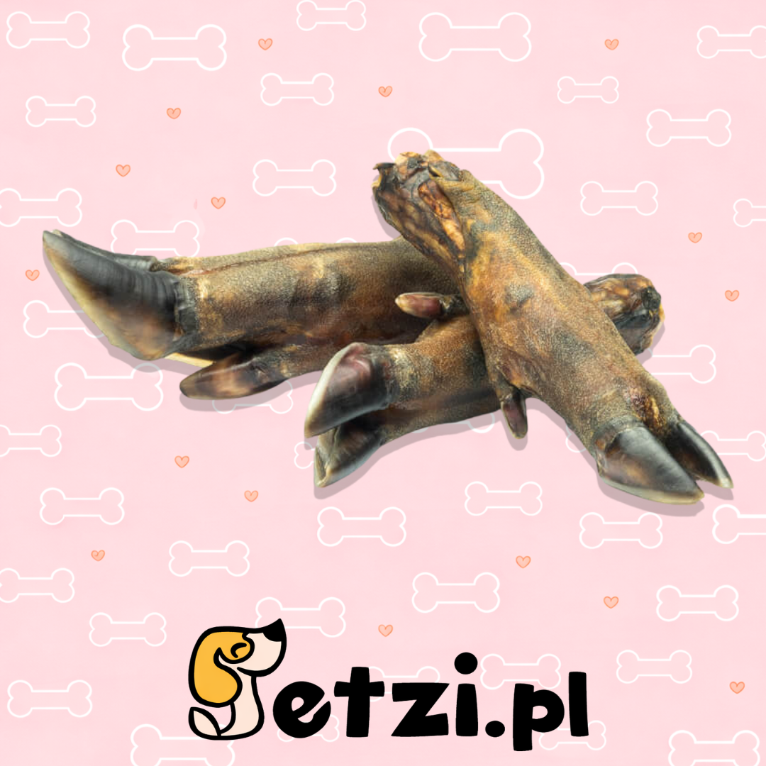 PETMEX NOGA DZIKA 5SZT
