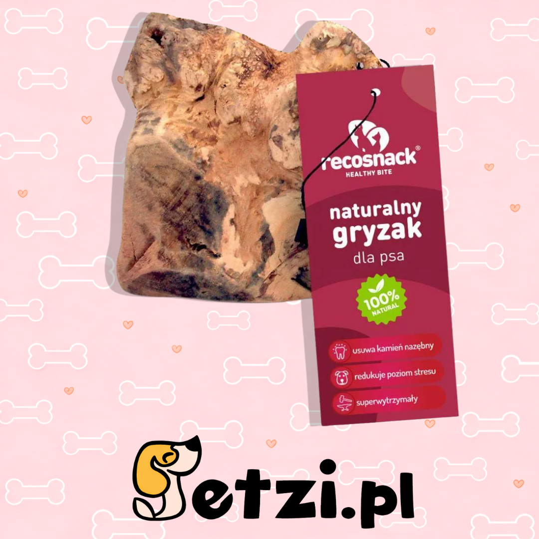 RECOSNACK KORZEŃ HISZPAŃSKIEGO DRZEWA WRZOSOWEGO XL