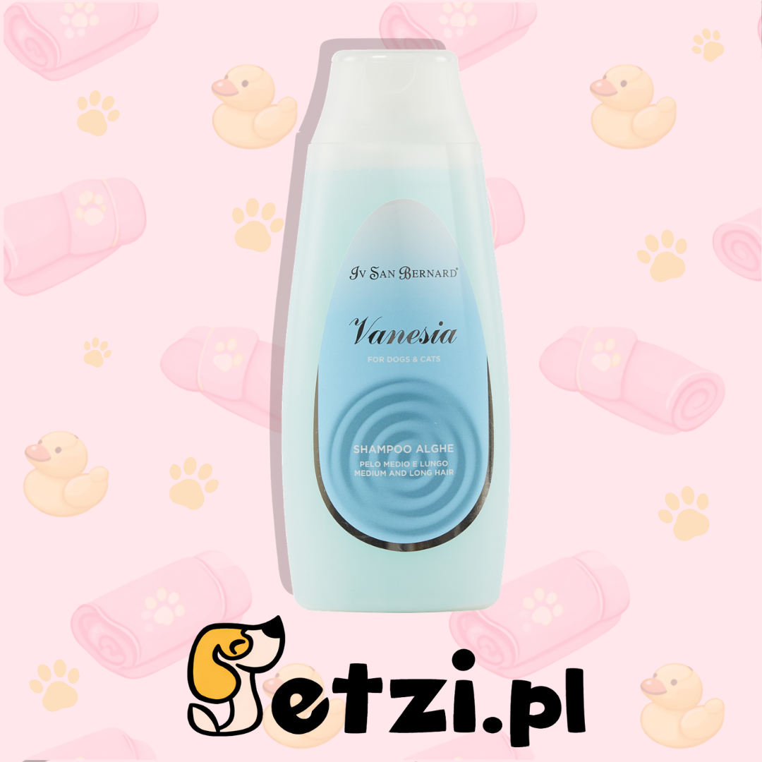 IV SAN BERNARD VANESIA ALGHE SHAMPOO 300 ML
