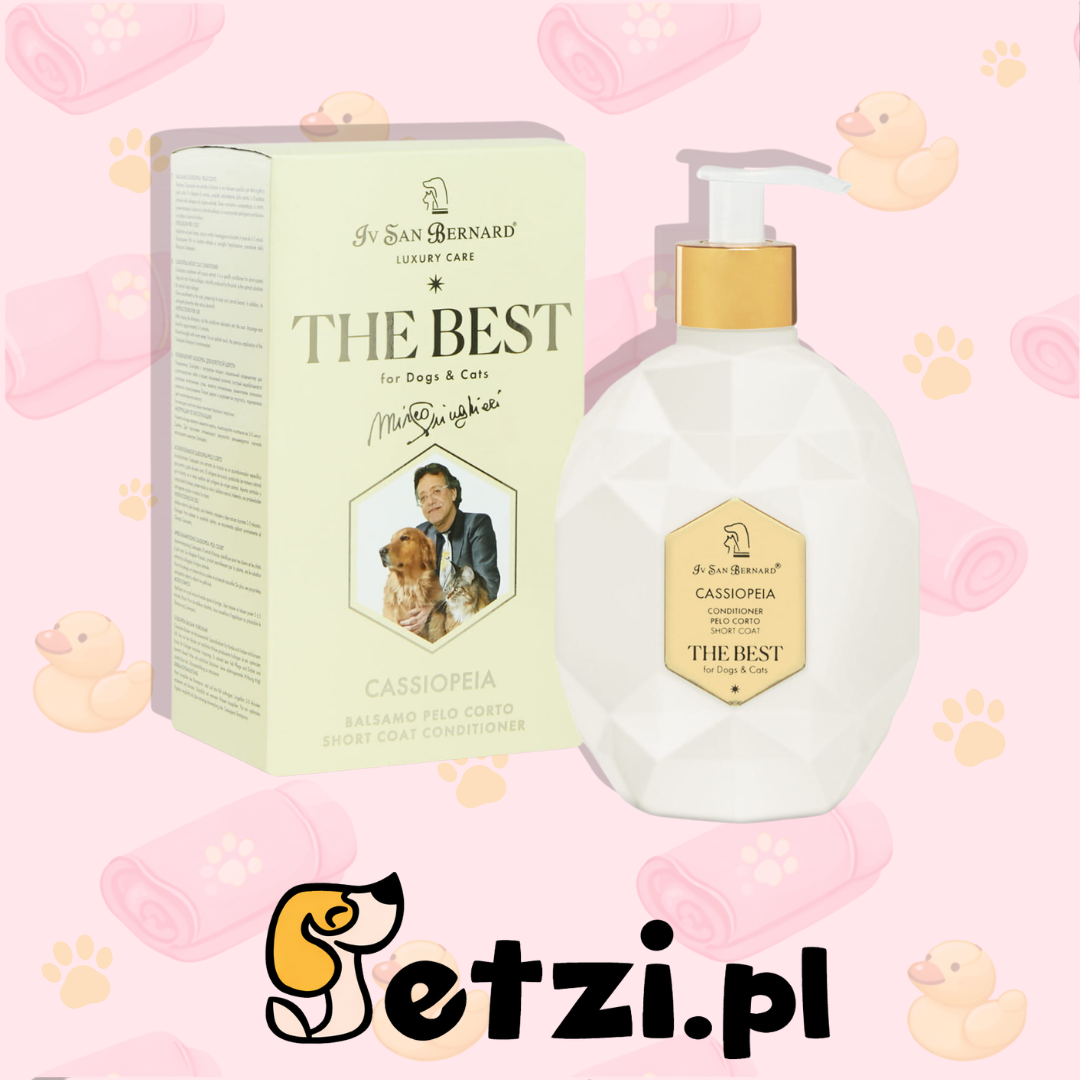 IV SAN BERNARD THE BEST CASSIOPEIA CONDITIONER 500