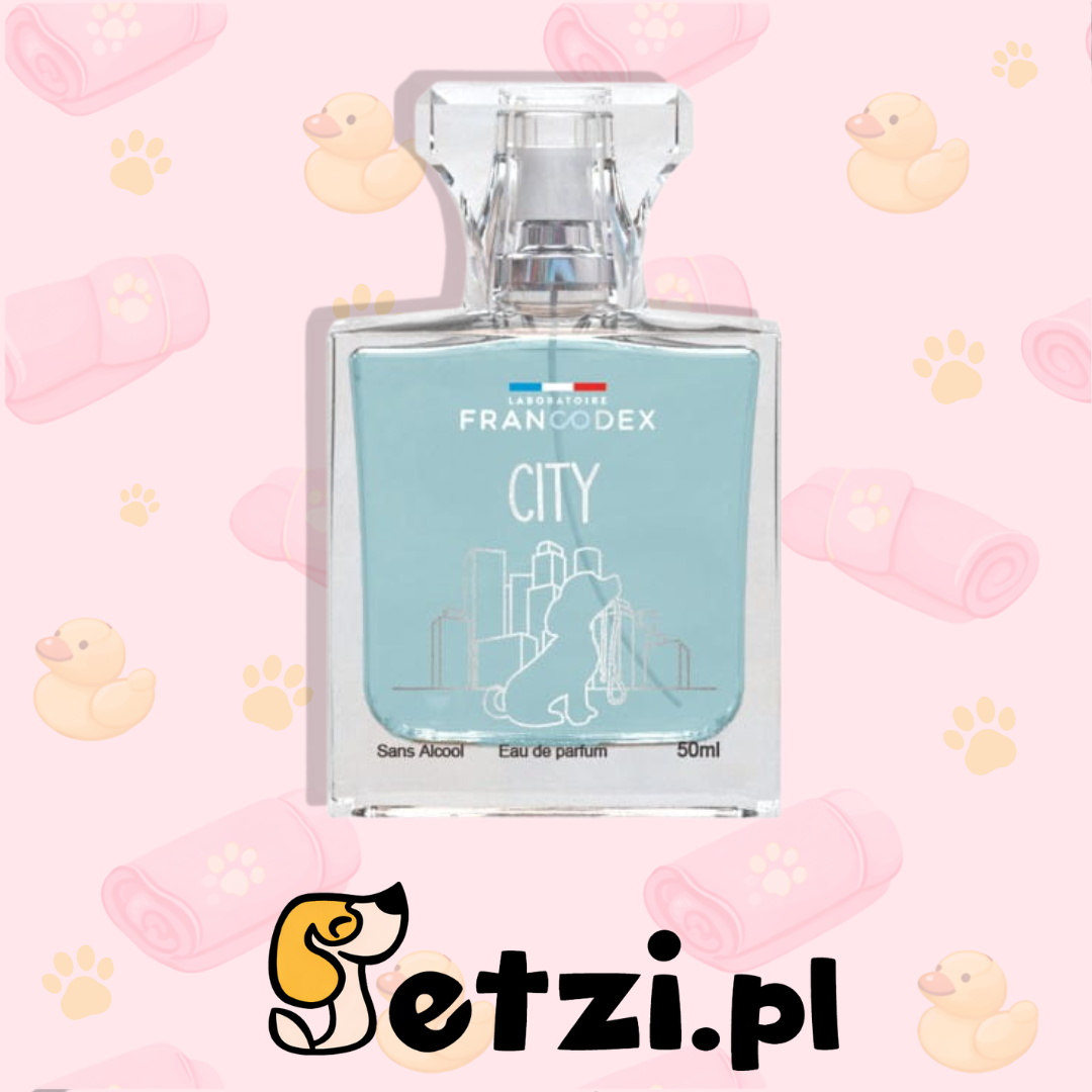FRANCODEX PERFUMY CITY ZAPACH UNISEX 50 ML