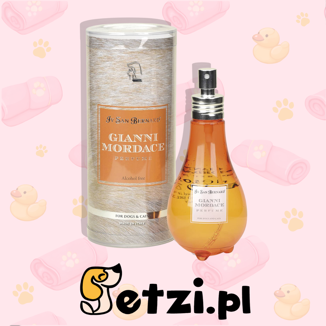 IV SAN BERNARD TRADITIONAL GIANNI MORDACE PERFUME 150 ML
