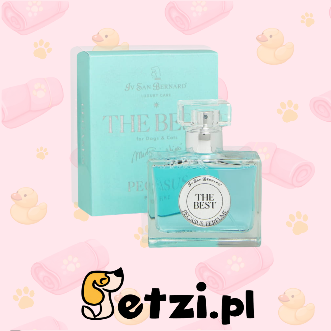 IV SAN BERNARD THE BEST PEGASUS PERFUME 50 ML