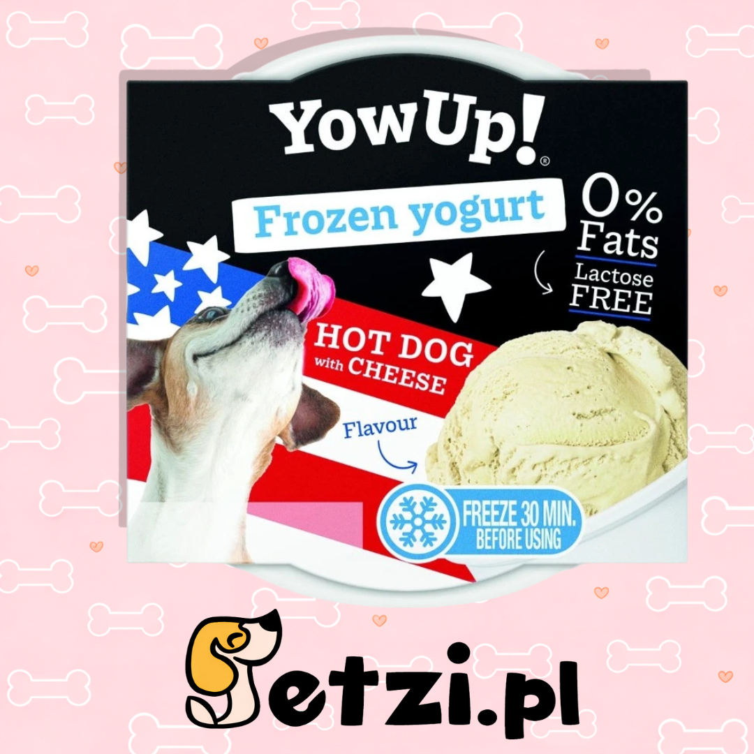 YOW UP! HOT! WITH CHEESE FROZEN YOGURT JOGURT DO MROŻENIA Z SEREM 110G