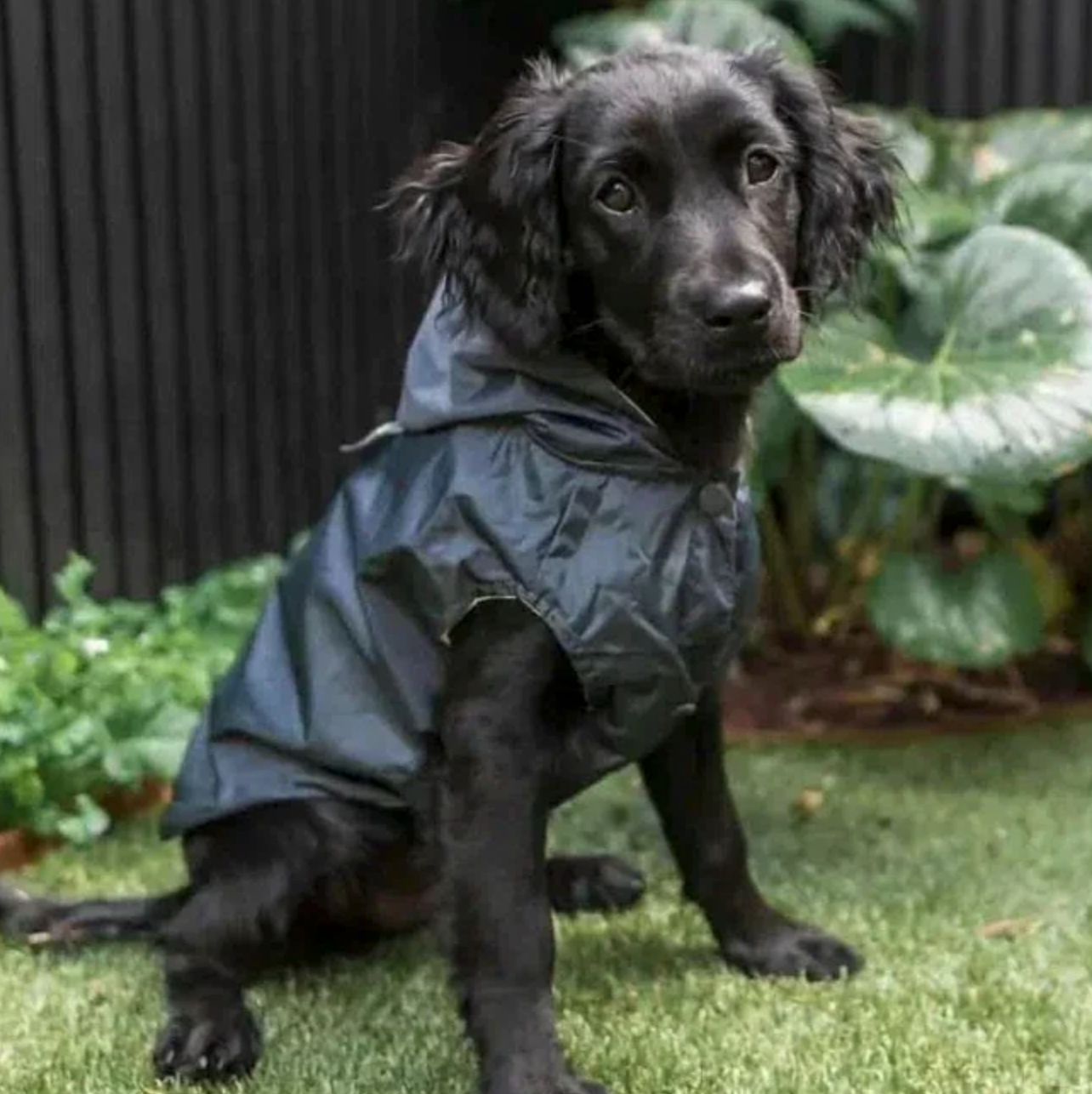 FUZZYARD LIFE RAINCOAT SLATE GREY S1