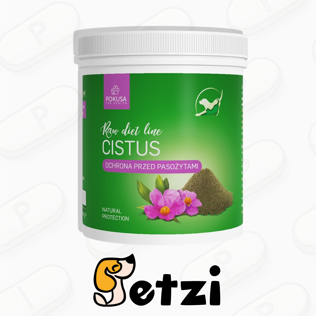 POKUSA RAWDIETLINE CZYSTEK 100G/500G/120 TAB.