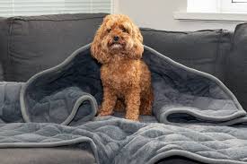 KONG WEIGHTED CALMING BLANKET