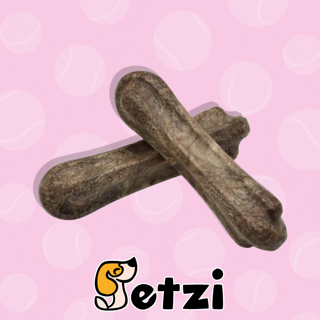 FIBOO FIBOONE WOODY GRYZAK DLA PSA Z MĄCZKĄ DRZEWNA - RÓŻNE ROZMIARY