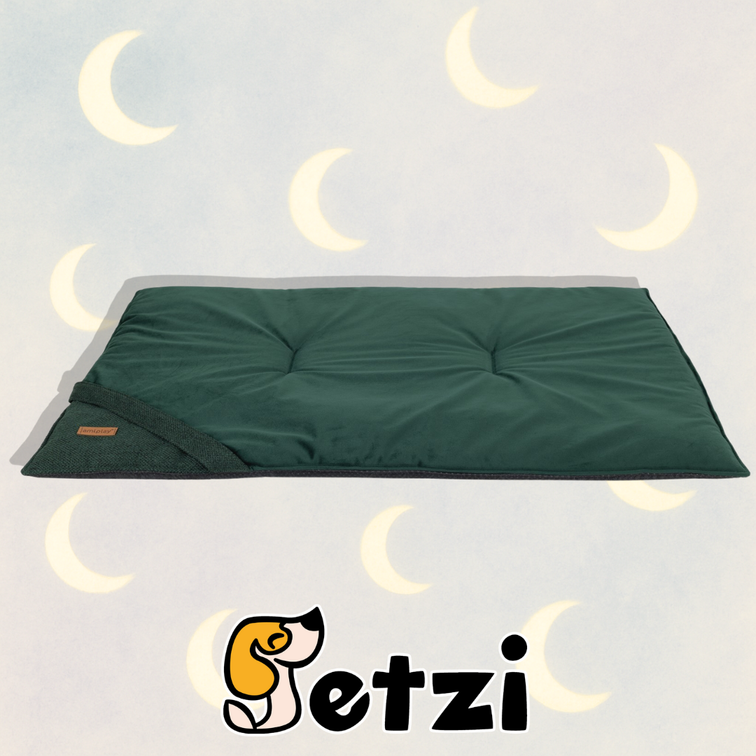 AMIPLAY MATA SIENA ZIELONA M