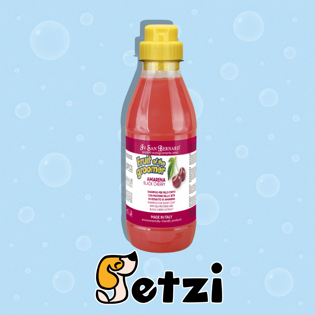 IV SAN BERNARD FRUIT OF THE GROOMER SHAMPOO – PROFESJONALNY SZAMPON DLA PSA I KOTA – RÓŻNE RODZAJE