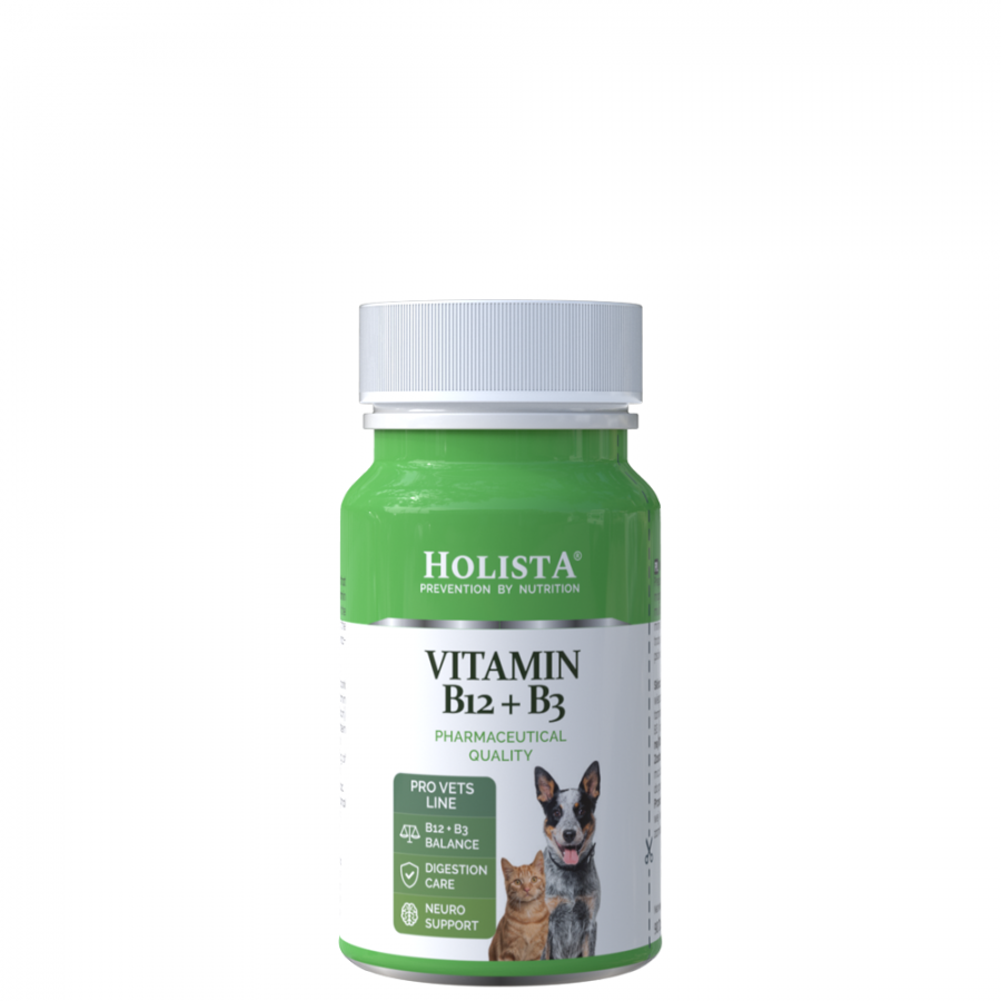 HOLISTA VITAMIN B12+B3 90 SZT TABLETEK