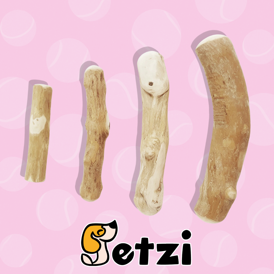 RECOSNACK PATYK Z DRZEWA KAWOWEGO - RÓŻNE ROZMIARY