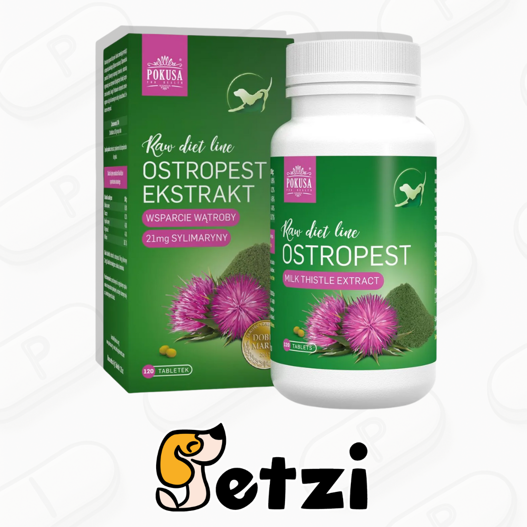 POKUSA RAWDIETLINE OSTROPEST EKSTRAKT 120 TABLETS