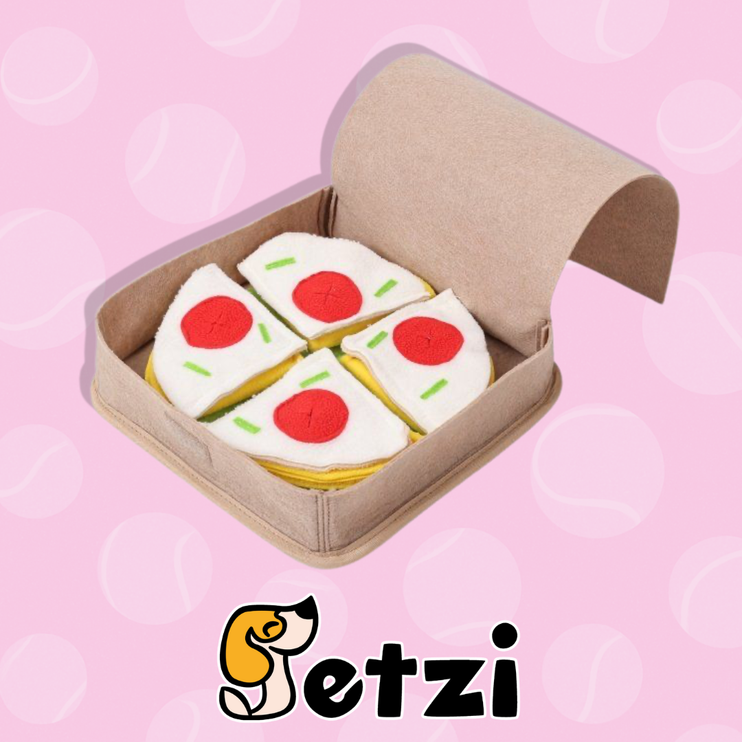 DOGLEMI PUDEŁKO PIZZY - ZABAWKA WĘCHOWA DLA PSA
