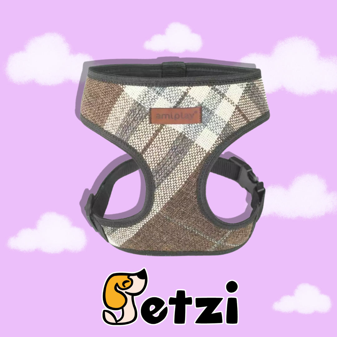 AMIPLAY SZELKI SCOUT LONDON SIZE XXL - RÓŻNE KOLORY I ROZMIARY
