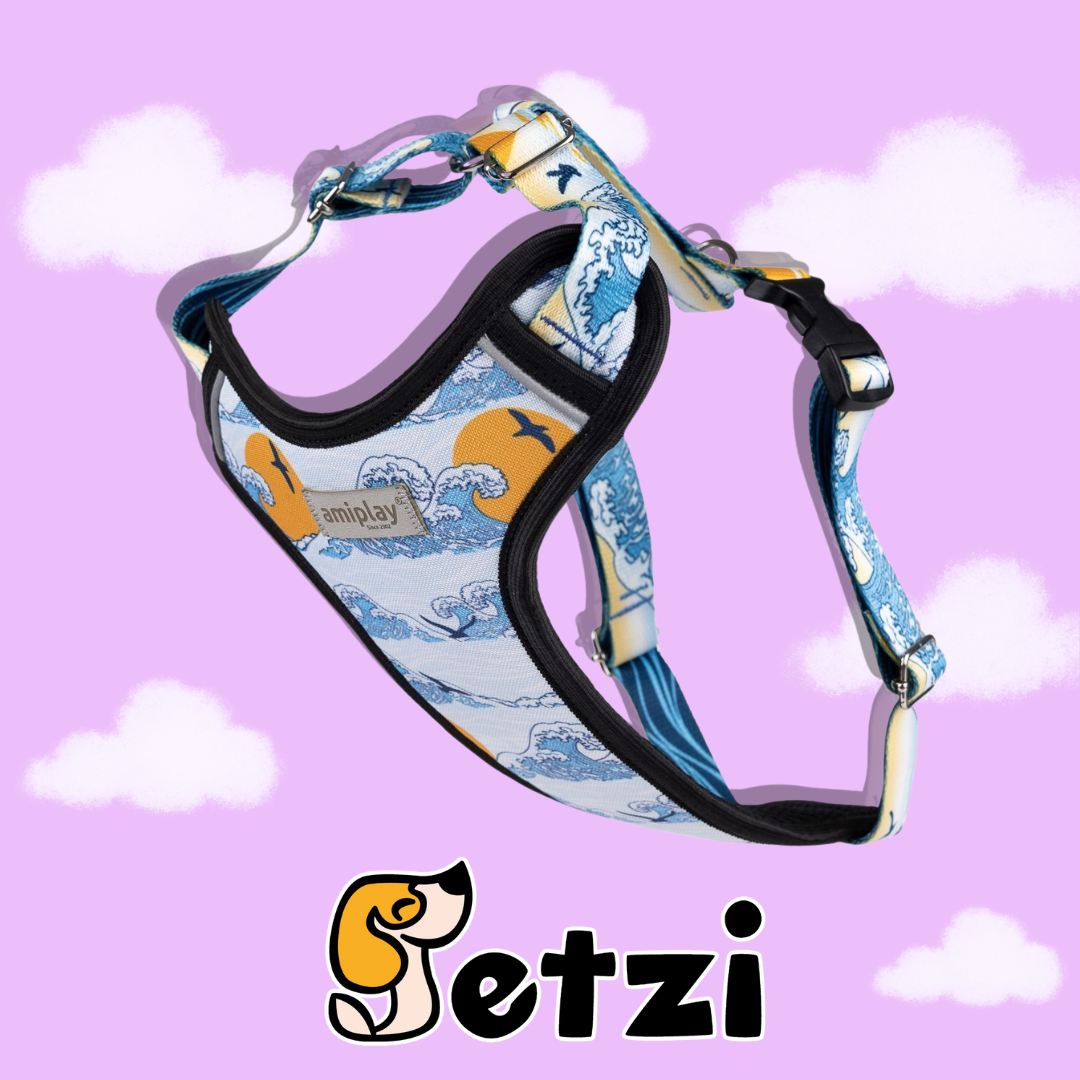 AMIPLAY SZELKI REGULOWANE DISCOVERY BE NATURE - WAVES L