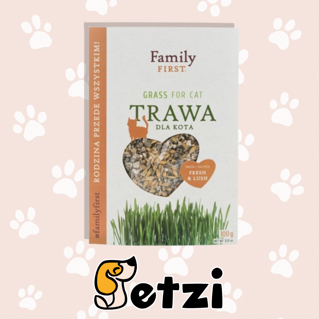 FAMILY FIRST TRAWA DLA KOTA W POJEMNIKU