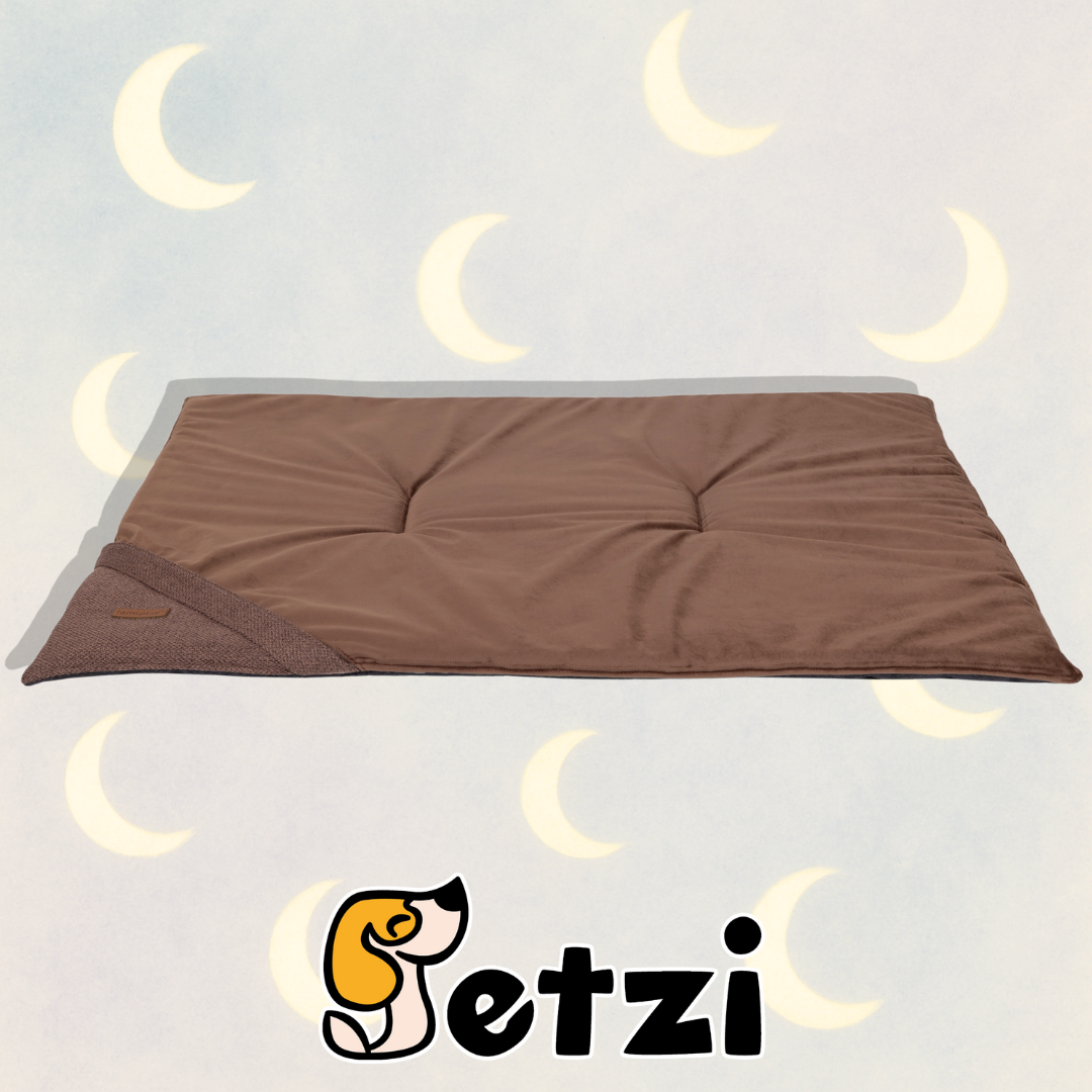 AMIPLAY MATA SIENA BRĄZOWA XL