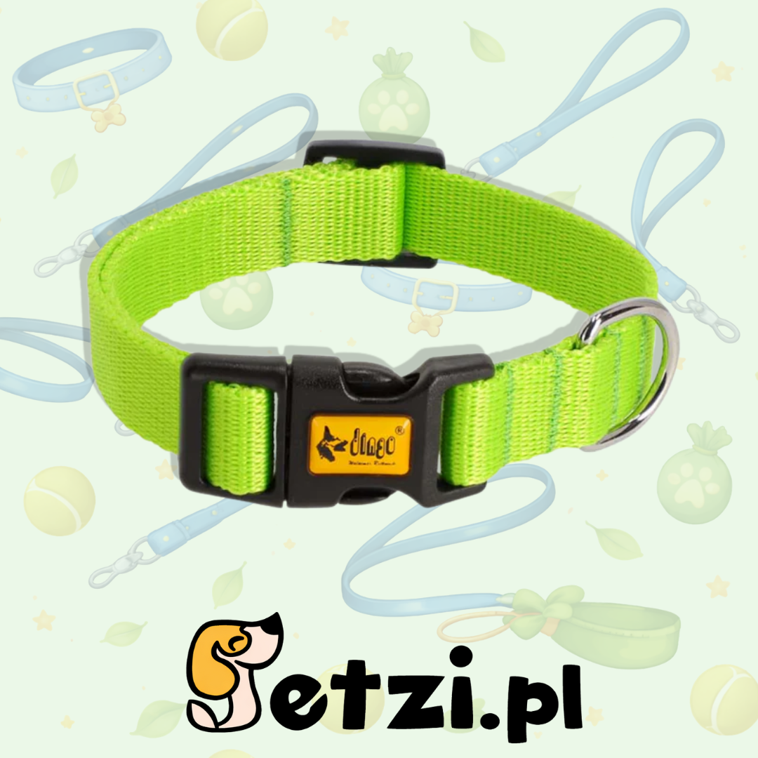 DINGO OBROŻA DLA PSA REGULOWANA SZER. 2CM (24-39CM) ZIELONA