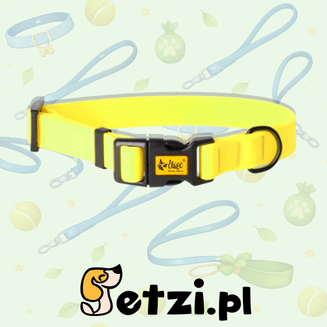 DINGO OBROŻA DLA PSA REGULOWANA SZER. 2CM (24-39CM) ŻÓŁTA