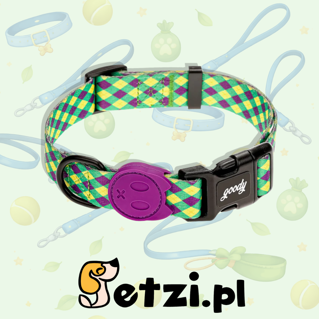 GOODY OBROŻA DLA PSA REGULOWANA STYLISH CHARLIE L