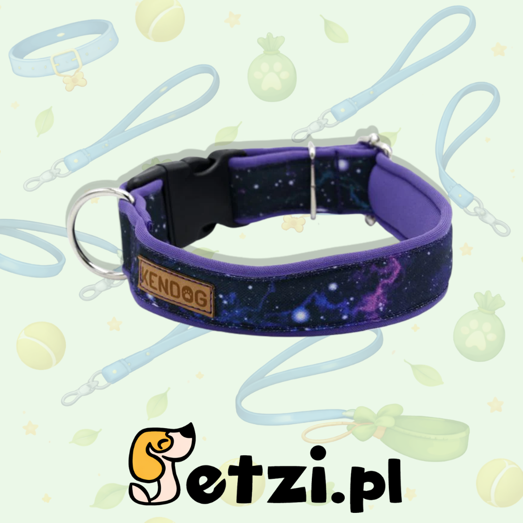 KENDOG OBROŻA DLA PSA GALAXY 4CM M
