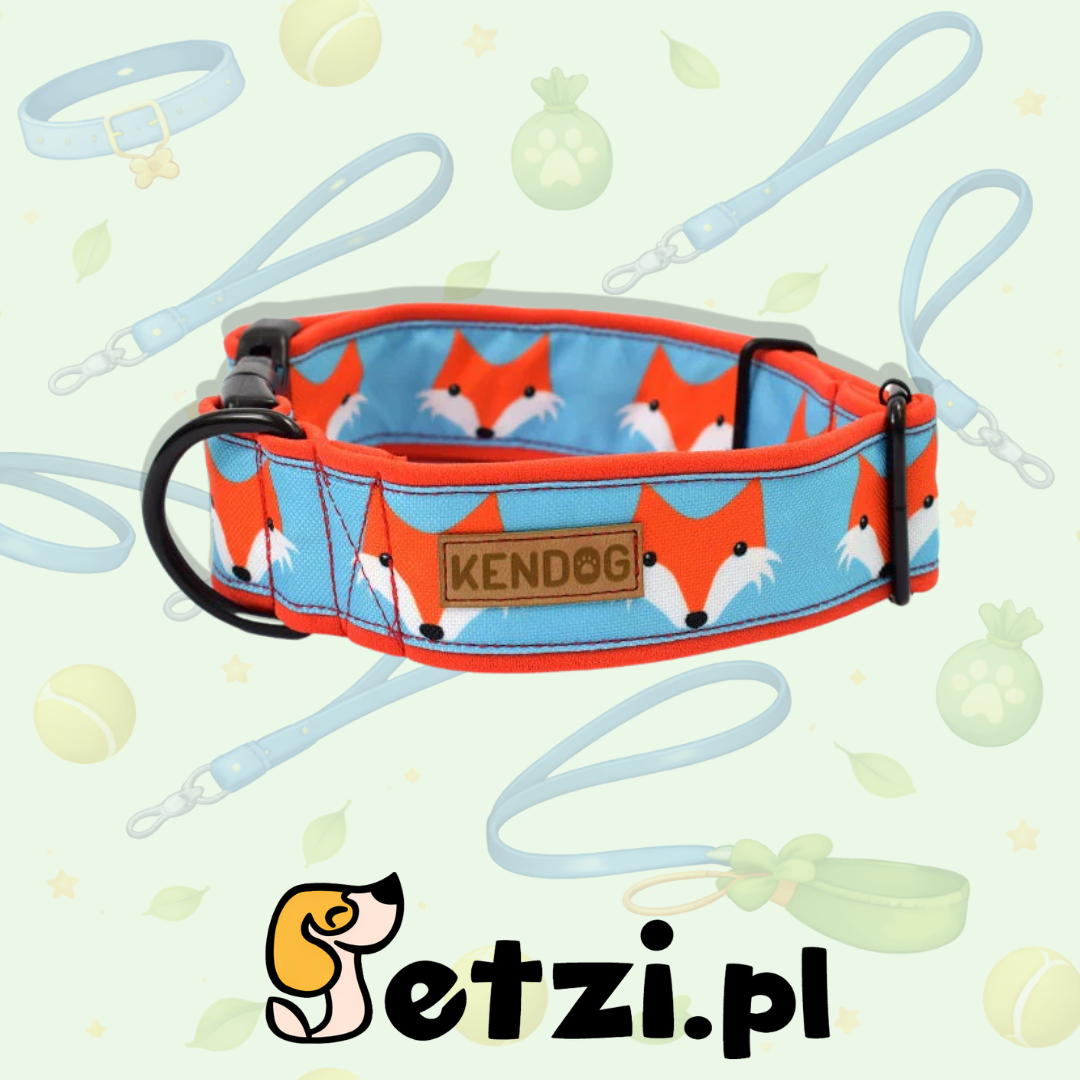KENDOG OBROŻA DLA PSA LISY 3CM S